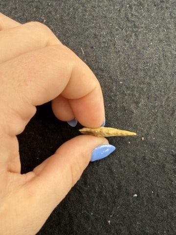 Arrow Point Indian Artifact Arrowhead - 3