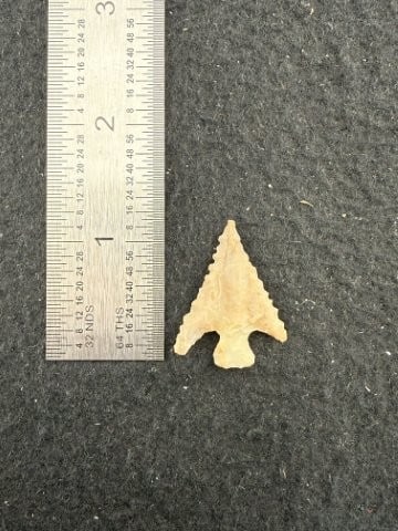 Arrow Point Indian Artifact Arrowhead: KEY WORDS: INDIAN ARTIFACT ARTIFACTS ARROWHEAD ARROWHEADS NATIVE AMERICAN MISSISSIPPIAN QUAPAW CADDO POTTERY COINS MORGAN DOLLAR PEACE DOLLAR SILVER COINS. All coins have been Sigma tested for authent