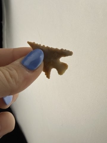 Arrow Point Indian Artifact Arrowhead - 4