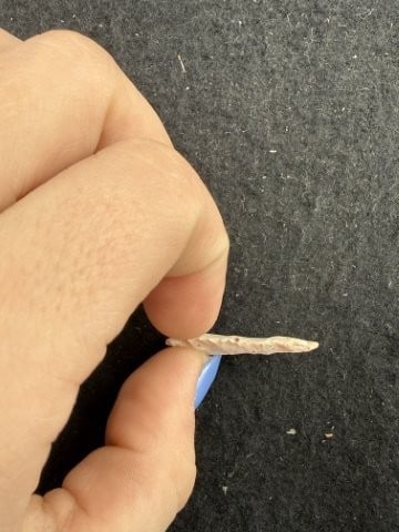 Arrow Point Indian Artifact Arrowhead - 3