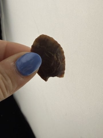 Folsom Indian Artifact Arrowhead - 4