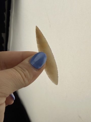 Nodena Indian Artifact Arrowhead - 4
