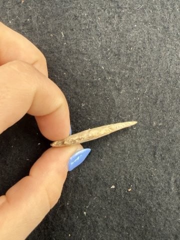Arrow Point Indian Artifact Arrowhead - 3