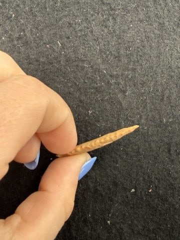 Arrow Point Indian Artifact Arrowhead - 3