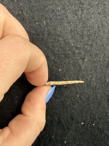 Arrow Point Indian Artifact Arrowhead - 3