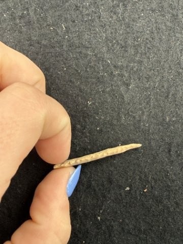 Arrow Point Indian Artifact Arrowhead - 3