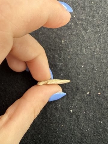 Arrow Point Indian Artifact Arrowhead - 3