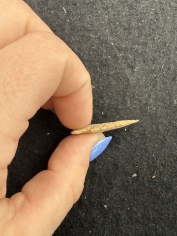 Arrow Point Indian Artifact Arrowhead - 3