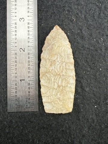 Paleo Blade Indian Artifact Arrowhead: KEY WORDS: INDIAN ARTIFACT ARTIFACTS ARROWHEAD ARROWHEADS NATIVE AMERICAN MISSISSIPPIAN QUAPAW CADDO POTTERY COINS MORGAN DOLLAR PEACE DOLLAR SILVER COINS. All coins have been Sigma tested for