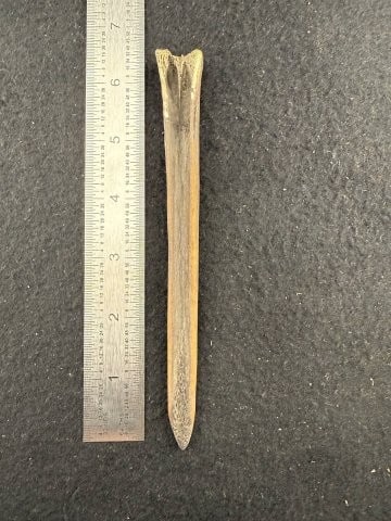 Bone Tool Indian Artifact Arrowhead: KEY WORDS: INDIAN ARTIFACT ARTIFACTS ARROWHEAD ARROWHEADS NATIVE AMERICAN MISSISSIPPIAN QUAPAW CADDO POTTERY COINS MORGAN DOLLAR PEACE DOLLAR SILVER COINS. All coins have been Sigma tested for authent