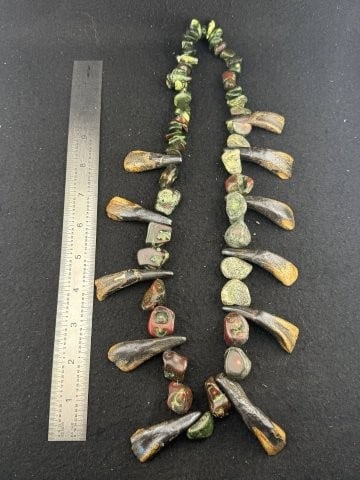 Buffalo Tooth Necklace: KEY WORDS: INDIAN ARTIFACT ARTIFACTS ARROWHEAD ARROWHEADS NATIVE AMERICAN MISSISSIPPIAN QUAPAW CADDO POTTERY COINS MORGAN DOLLAR PEACE DOLLAR SILVER COINS. All coins have been Sigma tested for