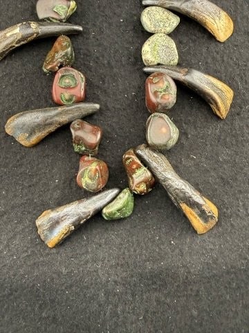 Buffalo Tooth Necklace - 2