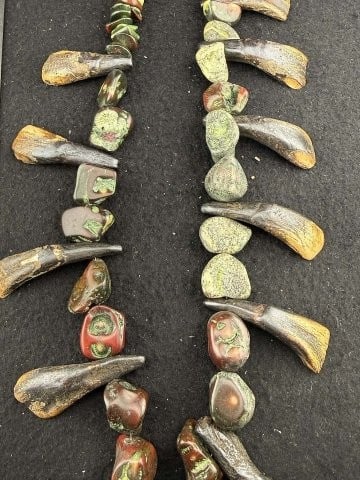 Buffalo Tooth Necklace - 3