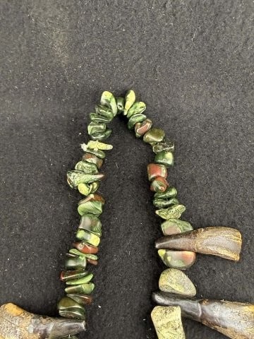 Buffalo Tooth Necklace - 5