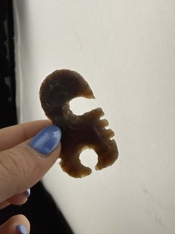 Flint Scorpion Eccentric Indian Artifact Arrowhead - 4