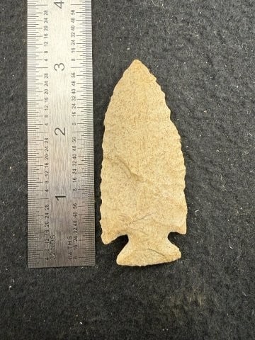 Pine Tree Indian Artifact Arrowhead: KEY WORDS: INDIAN ARTIFACT ARTIFACTS ARROWHEAD ARROWHEADS NATIVE AMERICAN MISSISSIPPIAN QUAPAW CADDO POTTERY COINS MORGAN DOLLAR PEACE DOLLAR SILVER COINS. All coins have been Sigma tested for