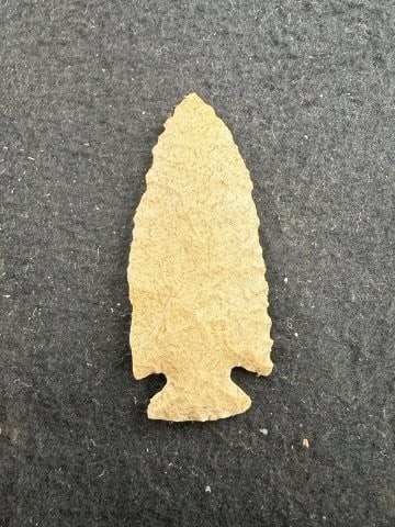 Pine Tree Indian Artifact Arrowhead - 2