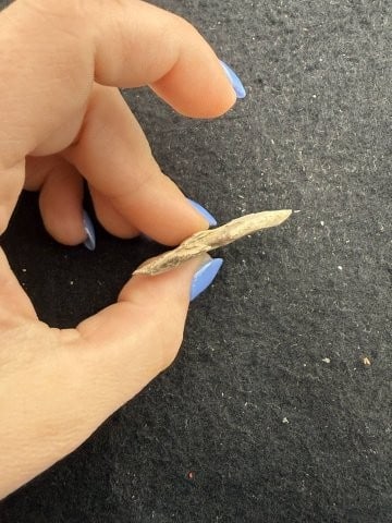 Arrow Point Indian Artifact Arrowhead - 3