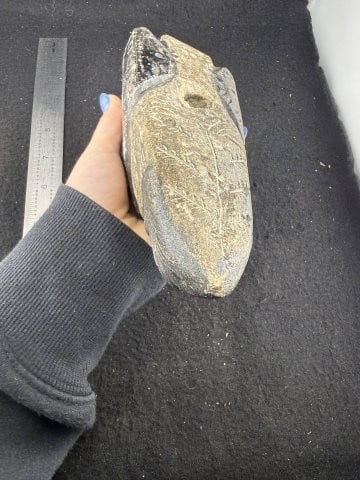 Effigy Indian Artifact Arrowhead - 6