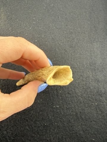 Bone Tool Indian Artifact Arrowhead - 3