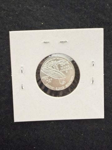 1/10th Fine Silver Coin - 2