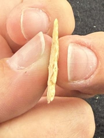 Arrow Point Indian Artifact Arrowhead - 3