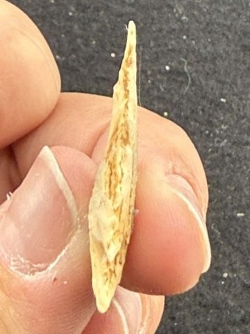 Arrow Point Indian Artifact Arrowhead - 3