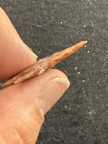 Arrow Point Indian Artifact Arrowhead - 3
