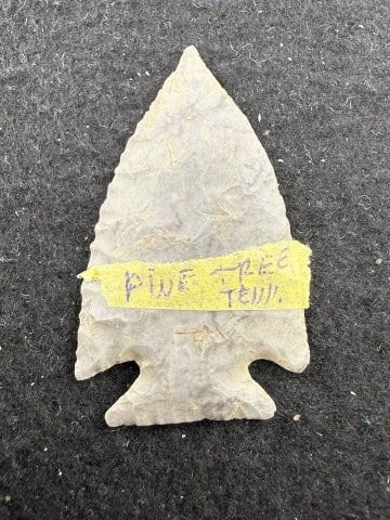 Pine Tree Indian Artifact Arrowhead - 2
