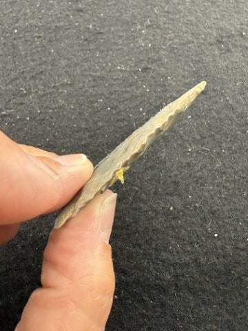 Pine Tree Indian Artifact Arrowhead - 3