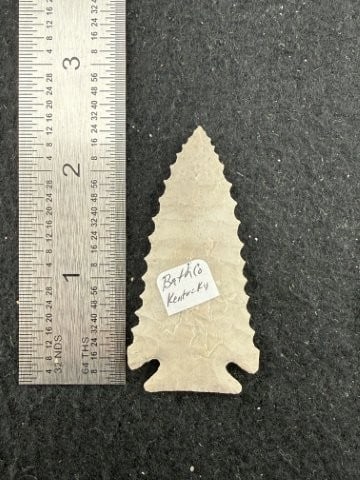 Pine Tree Indian Artifact Arrowhead: KEY WORDS: INDIAN ARTIFACT ARTIFACTS ARROWHEAD ARROWHEADS NATIVE AMERICAN MISSISSIPPIAN QUAPAW CADDO POTTERY COINS MORGAN DOLLAR PEACE DOLLAR SILVER COINS. All coins have been Sigma tested for
