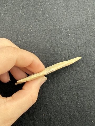 Dalton Indian Artifact Arrowhead - 3