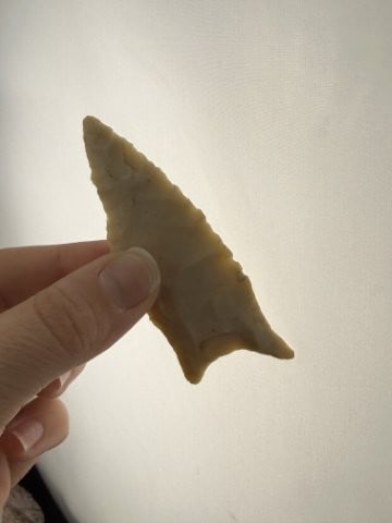 Dalton Indian Artifact Arrowhead - 4