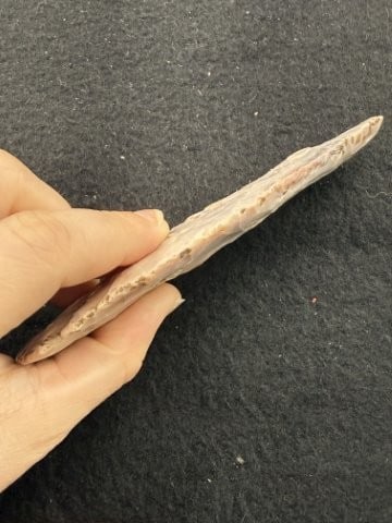 Dovetail Indian Artifact Arrowhead - 3