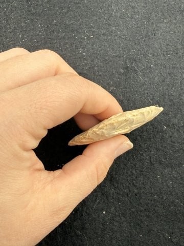Blade Indian Artifact Arrowhead - 3