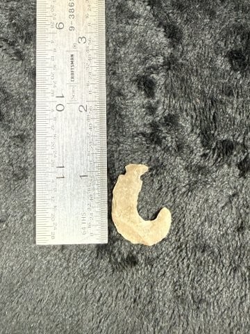 Flint Hook Indian Artifact Arrowhead: KEY WORDS: INDIAN ARTIFACT ARTIFACTS ARROWHEAD ARROWHEADS NATIVE AMERICAN MISSISSIPPIAN QUAPAW CADDO POTTERY COINS MORGAN DOLLAR PEACE DOLLAR SILVER COINS. All coins have been Sigma tested for