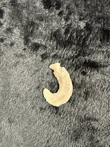 Flint Hook Indian Artifact Arrowhead - 2