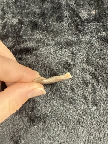 Flint Hook Indian Artifact Arrowhead - 3