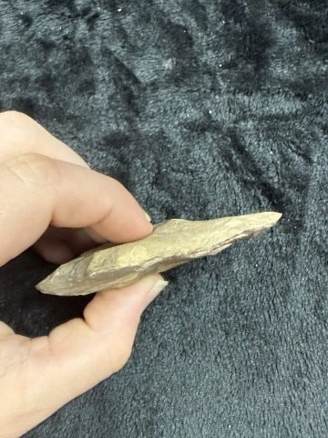 Hardin Indian Artifact Arrowhead - 3