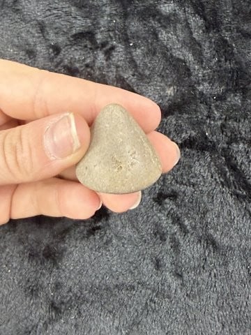 Cone Indian Artifact Arrowhead - 2