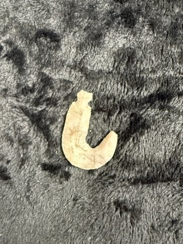 Flint Hook Indian Artifact Arrowhead - 2