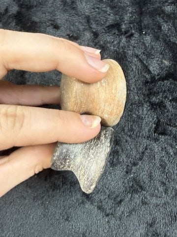 Ear Spools Indian Artifact Arrowhead - 2