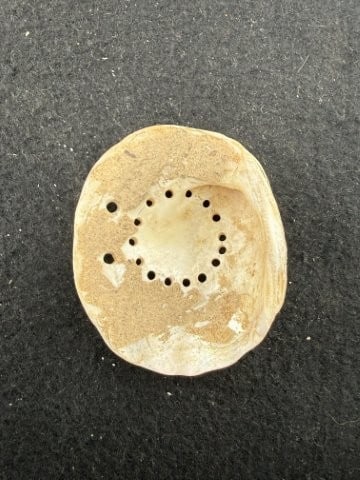Shell Pendant Indian Artifact Arrowhead - 2