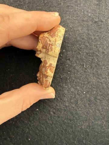 Pendant Indian Artifact Arrowhead - 3