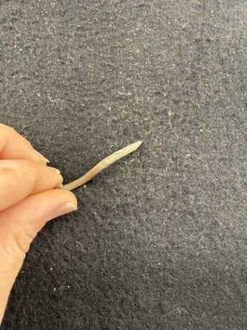 Hook Indian Artifact Arrowhead - 3