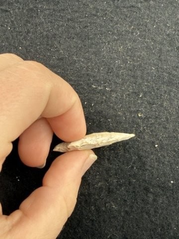 Arrow Point Indian Artifact Arrowhead - 3