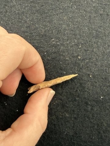 Arrow Point Indian Artifact Arrowhead - 3