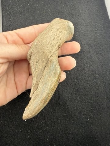 Birdstone Indian Artifact Arrowhead - 7