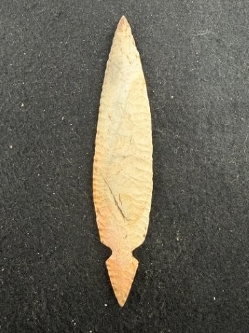 Turkeytail Indian Artifact Arrowhead - 2