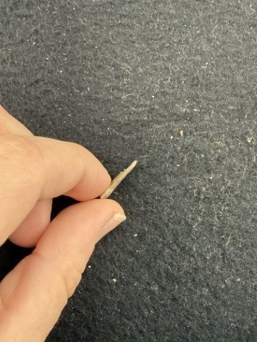 Arrow Point Indian Artifact Arrowhead - 3